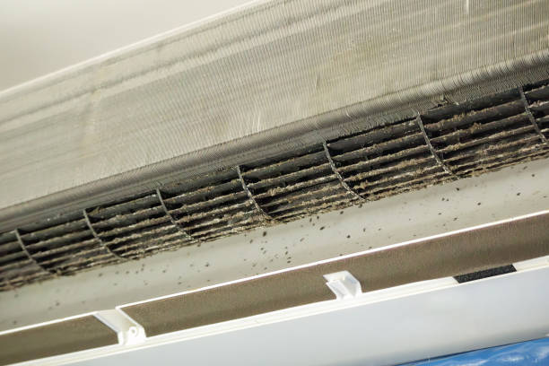 Best Affordable Duct Cleaning Services  in South Henderson, NC