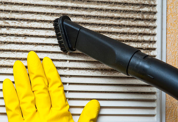 Best Ductwork Cleaning Services  in South Henderson, NC